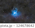 アイリス星雲_2024.08 124678642