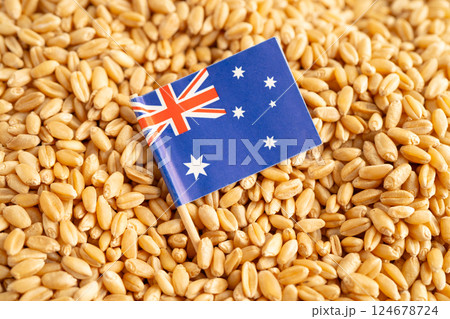 Grains wheat with Australia flag, trade export and economy. Grains wheat with Australia flag, trade export and economy. 124678724