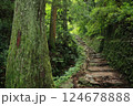 緑に囲まれた階段 124678888