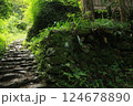 苔むした石階段 124678890