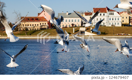 Seagulls flying over water with buildings in the background Seagulls flying over water with buildings in the background 124679407
