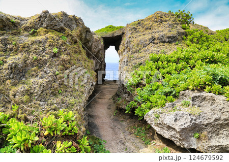 徳之島犬の門蓋（鹿児島県） 124679592