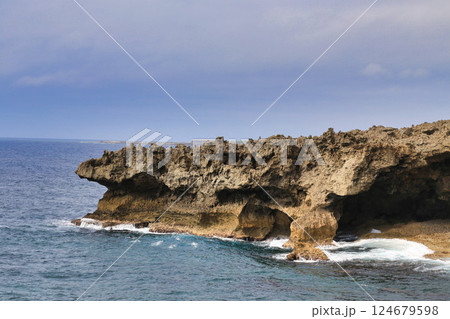 徳之島犬の門蓋(鹿児島県) 徳之島犬の門蓋(鹿児島県) 124679598