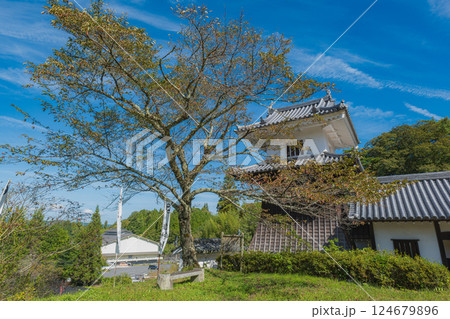 岐阜 岩村城 太鼓櫓と埋門 岐阜 岩村城 太鼓櫓と埋門 124679896