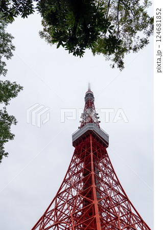 Looking up at Tokyo Tower framed by dense tree leaves its towering steel structure fades into mist 124681852