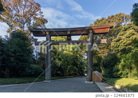 Traditional torii gate at Meiji Shrine in Tokyo bathed in gentle morning light Traditional torii gate at Meiji Shrine in Tokyo bathed in gentle morning light 124681875
