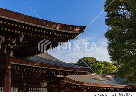 The curved wooden rooftops of Meiji Shrine in Tokyo display intricate craftsmanship 124681876
