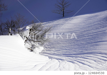 山の斜面 谷間に出来た雪の模様 山の斜面 谷間に出来た雪の模様 124684530