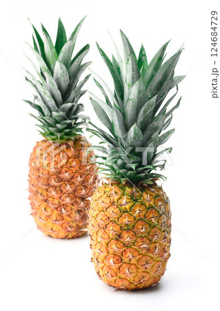 新鮮なパイナップル （ 白背景 ） 124684729