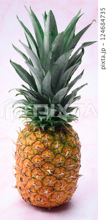 新鮮なパイナップル  124684735