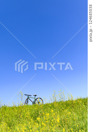 春の風景・自転車と菜の花と青空 春の風景・自転車と菜の花と青空 124685038