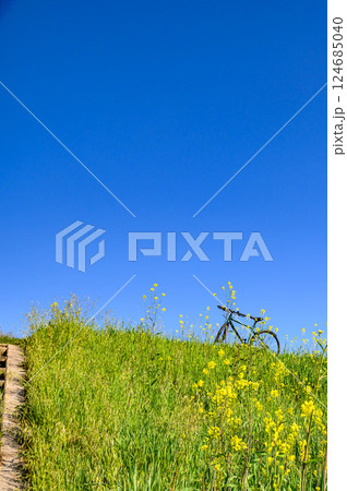 春の風景・自転車と菜の花と青空 春の風景・自転車と菜の花と青空 124685040