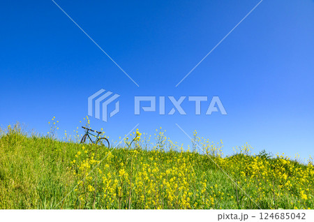 春の風景・自転車と菜の花と青空 春の風景・自転車と菜の花と青空 124685042