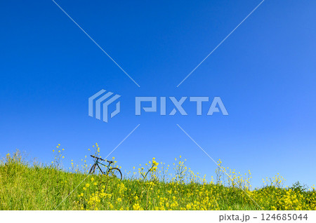 春の風景・自転車と菜の花と青空 春の風景・自転車と菜の花と青空 124685044