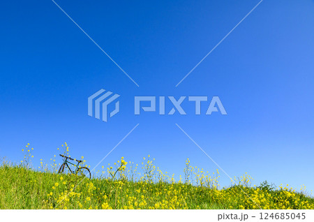 春の風景・自転車と菜の花と青空 春の風景・自転車と菜の花と青空 124685045