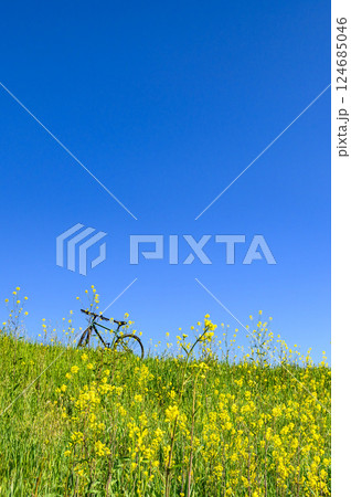 春の風景・自転車と菜の花と青空 春の風景・自転車と菜の花と青空 124685046