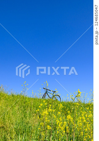 春の風景・自転車と菜の花と青空 春の風景・自転車と菜の花と青空 124685047