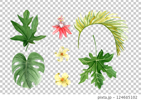 Papaya, monstera, palm leaf, white and red flowers watercolor set isolated on white. Hand drawn tropical design elements, sketch style. Perfect for cards, posters, decor, eco design. Passion flower 124685102