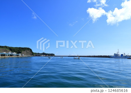 千葉県・勝浦市・勝浦漁港 千葉県・勝浦市・勝浦漁港 124685616