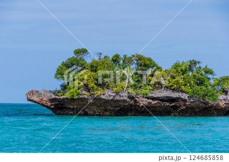 The coast of northern Zanzibar 124685858