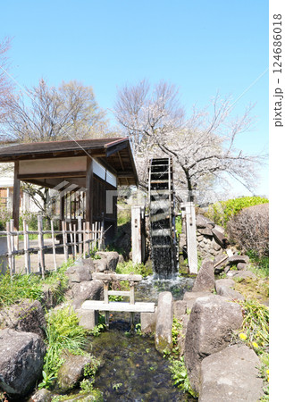 野川の水車と桜 野川の水車と桜 124686018