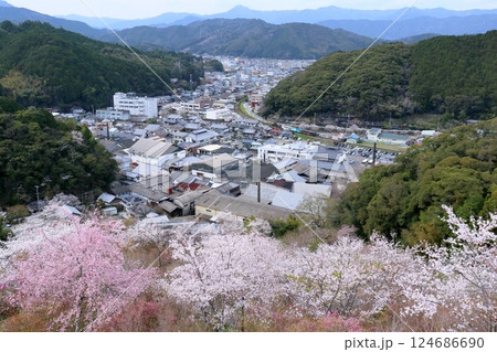 牧野公園の桜と佐川の町並み　（四国　高知県） 124686690