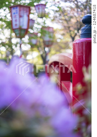 ツツジ咲く打吹公園（倉吉市） 124687418