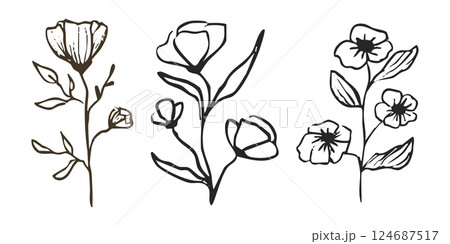 Floral botanical feminine wild flower summer line sketch drawing. Trendy minimal elements wedding herbs, minimalistic flowers with elegant leaves. Tiny tattoo, elegant rustic 124687517