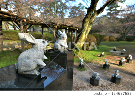 島根県　出雲大社とウサギたち 124687682