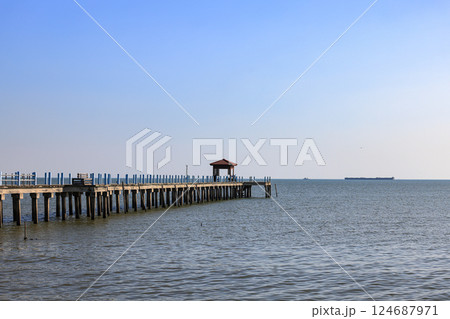 Pier at the sea, jetty and sea in sun light. 124687971