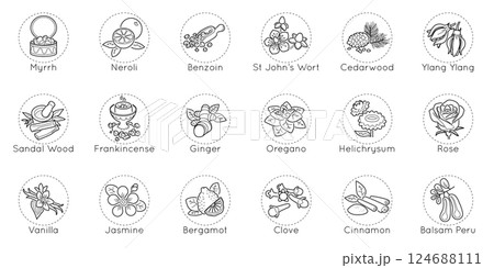 Perfume icon. Aromatic herbs. Vetiver fragrance note. Floral musk. Amber aroma. Scent heart line. Pyramid fruity. Oriental sandal. Woody ingredients. Circle symbols. Vector aromatherapy pictograms set Perfume icon. Aromatic herbs. Vetiver fragrance note. Floral musk. Amber aroma. Scent heart line. Pyramid fruity. Oriental sandal. Woody ingredients. Circle symbols. Vector aromatherapy pictograms set 124688111