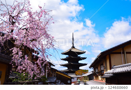 春 京都東山 法観寺 春 京都東山 法観寺 124688660