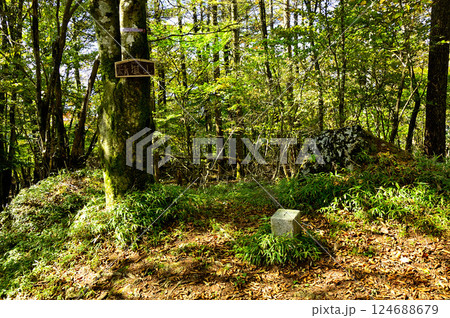 御坂山地　精進山（湖西山）山頂　三等三角点（西ノ入） 124688679