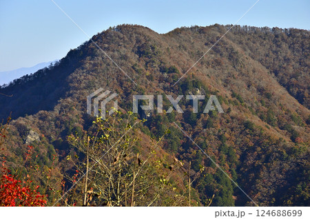 紅葉の御坂山地 朝のパノラマ台から眺める三方分山 紅葉の御坂山地 朝のパノラマ台から眺める三方分山 124688699