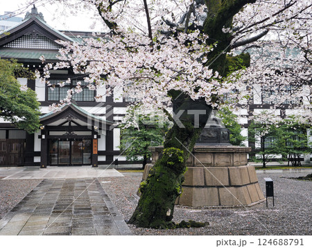 桜（雨の靖国神社境内） 124688791