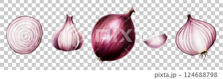 Set of Garlic bulbs and clove and Red onions. Watercolor hand drawn purple onion isolated on transparent background. illustration. For designers, menu, decoration, food blog, ecofriendly branding 124688798