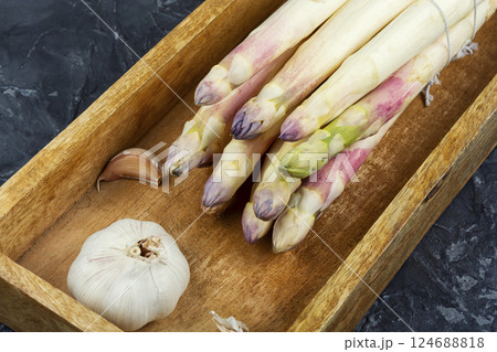 Bundles of white asparagus. Bundles of white asparagus. 124688818