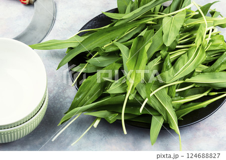 Wild onion or wild garlic. 124688827
