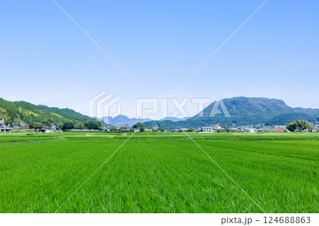 玖珠盆地の水田と伐株山 124688863