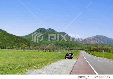 新緑の飯田高原長者原 新緑の飯田高原長者原 124688875