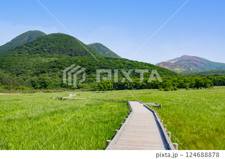 新緑の長者原 タデ原湿原とくじゅう連山 新緑の長者原 タデ原湿原とくじゅう連山 124688878