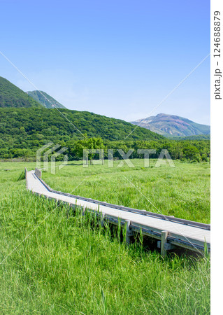 新緑の長者原　タデ原湿原とくじゅう連山 124688879