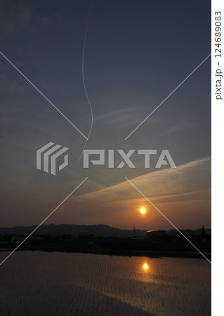 田圃と飛行機雲の夕景 124689083