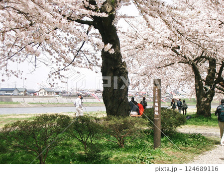 北上展勝地（岩手県北上市） 124689116