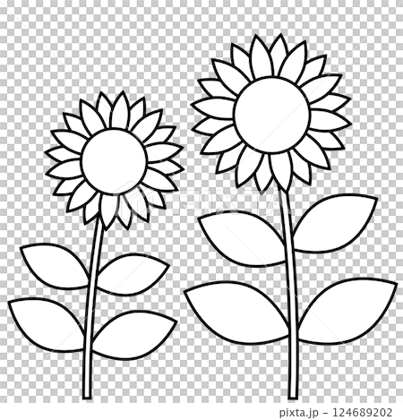 Sunflower flower black and white line drawing illustration. Summer image coloring book Sunflower flower black and white line drawing illustration. Summer image coloring book 124689202