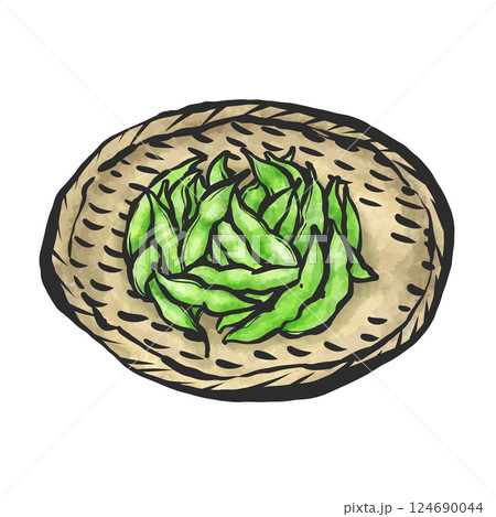 枝豆の手描き筆絵風イラスト 124690044