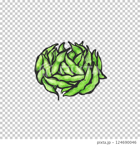 枝豆の手描き筆絵風イラスト 124690046
