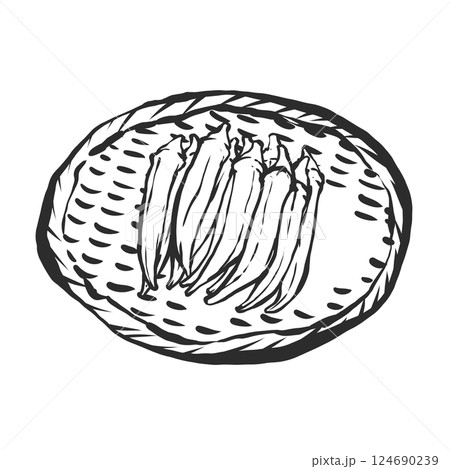 オクラの手描き筆絵風イラスト 124690239