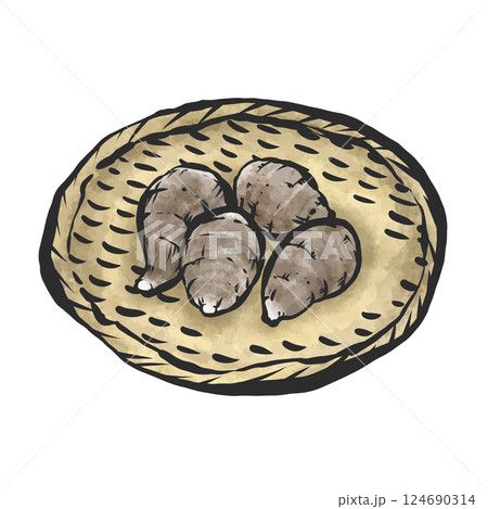 里芋の手描き筆絵風イラスト 里芋の手描き筆絵風イラスト 124690314