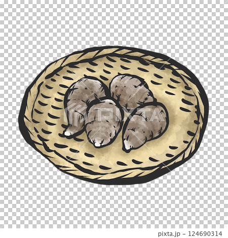 里芋の手描き筆絵風イラスト 里芋の手描き筆絵風イラスト 124690314